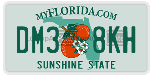 DM38KH  license plate in FL