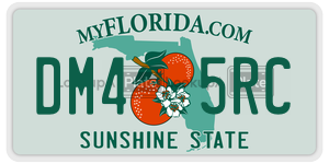 DM45RC  license plate in FL