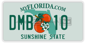 DMB10  license plate in FL