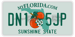 DN15JP license plate in Florida