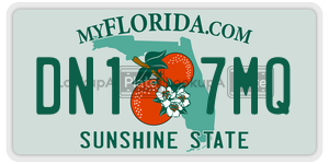 DN17MQ  license plate in FL