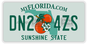 DN24ZS license plate in Florida