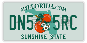 DN55RC  license plate in FL