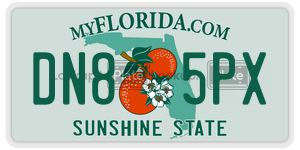 DN85PX  license plate in FL