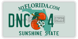DNC4 license plate in Florida
