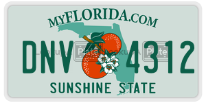 DNV4312  license plate in FL