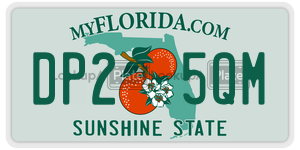 DP25QM  license plate in FL