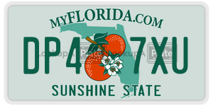 DP47XU  license plate in FL