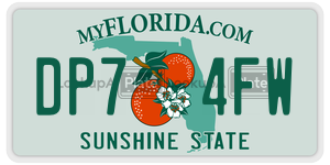 DP74FW  license plate in FL