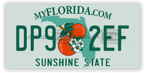 DP92EF license plate in Florida