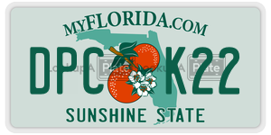 DPCK22 license plate in Florida