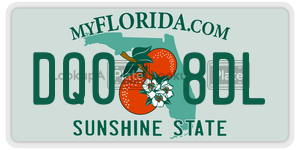 DQ08DL license plate in Florida