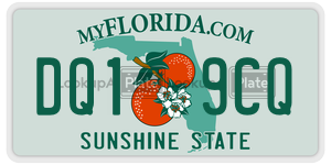 DQ19CQ  license plate in FL