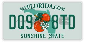 DQ98TD  license plate in FL