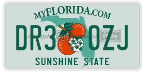 DR30ZJ license plate in Florida