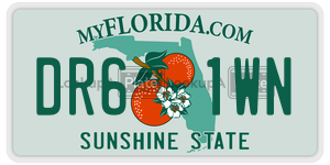 DR61WN license plate in Florida