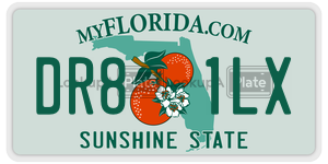 DR81LX  license plate in FL