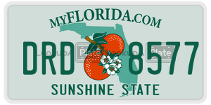 DRD8577 license plate in Florida