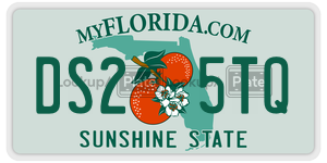 DS25TQ  license plate in FL