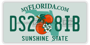 DS28IB  license plate in FL