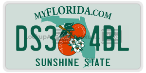DS34BL license plate in Florida
