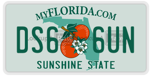 DS66UN  license plate in FL