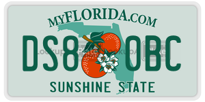 DS80BC  license plate in FL