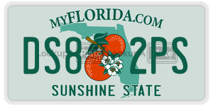 DS82PS  license plate in FL