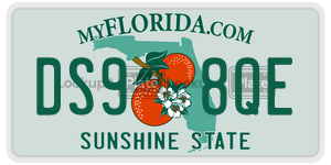 DS98QE  license plate in FL