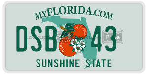 DSB43 license plate in Florida