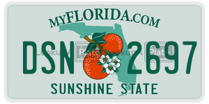 DSN2697  license plate in FL