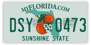 DSY0473  license plate in FL