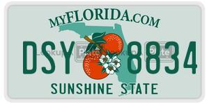 DSY8834 license plate in Florida