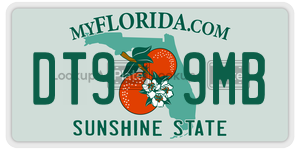 DT99MB  license plate in FL