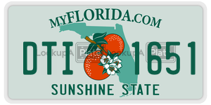 DTI1651  license plate in FL