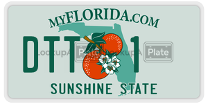 DTT1 license plate in Florida