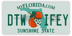 DTWIFEY  license plate in FL