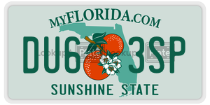 DU63SP license plate in Florida