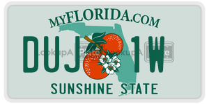 DUJ1W license plate in Florida