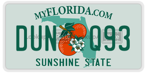 DUNQ93 license plate in Florida