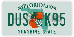 DUSK95 license plate in Florida