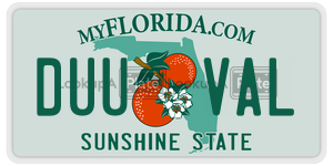 DUUVAL  license plate in FL