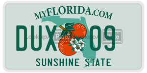 DUX09  license plate in FL