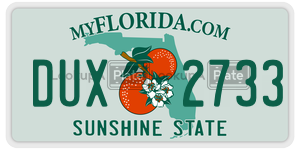 DUX2733 license plate in Florida