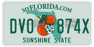 DV0874X  license plate in FL
