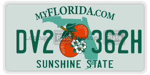 DV2362H  license plate in FL