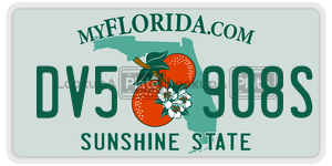 DV5908S license plate in Florida