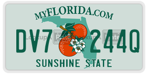 DV7244Q  license plate in FL
