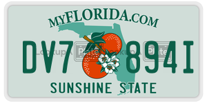 DV7894I  license plate in FL