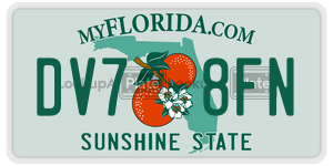 DV78FN  license plate in FL